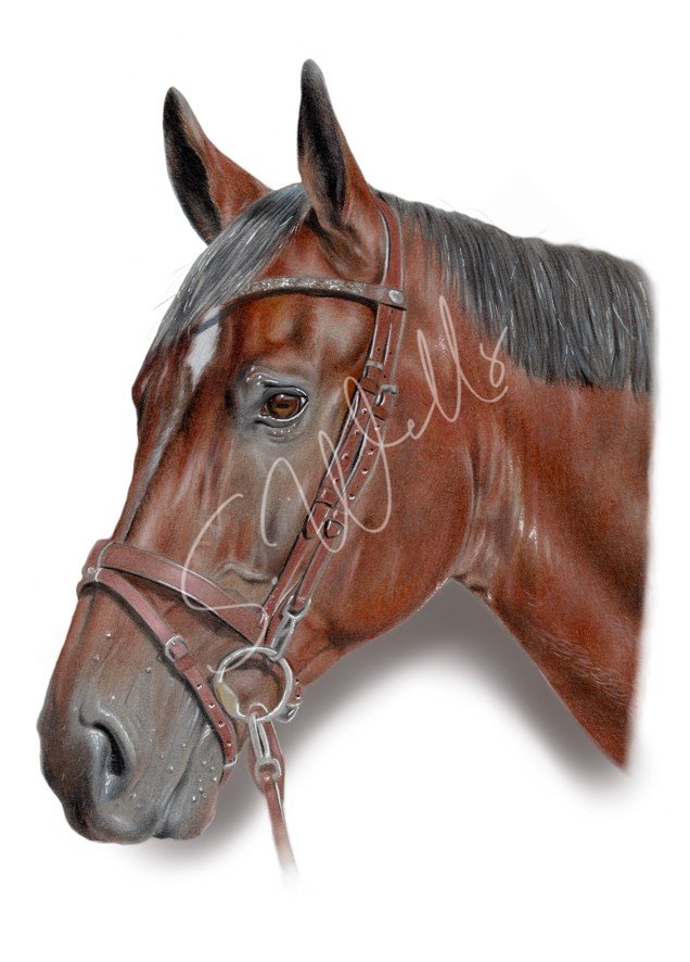 Chestnut Grace